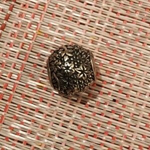 Disney Epcot Flower & Garden 2016 Spaceship Earth Floral Pandora Charm Bead